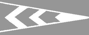 r_1